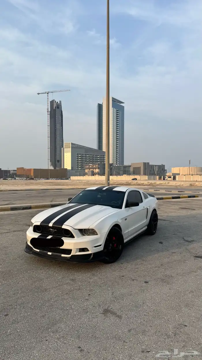 موستنق 4