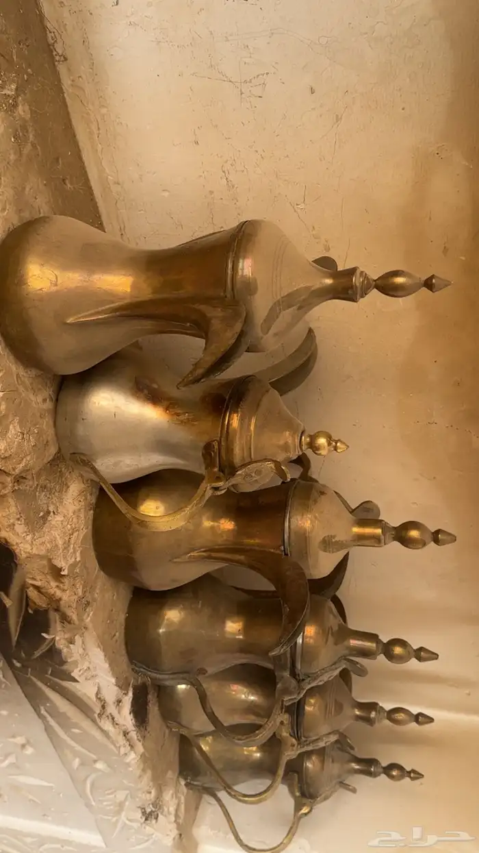 ست دلال وثلاث عزب 2