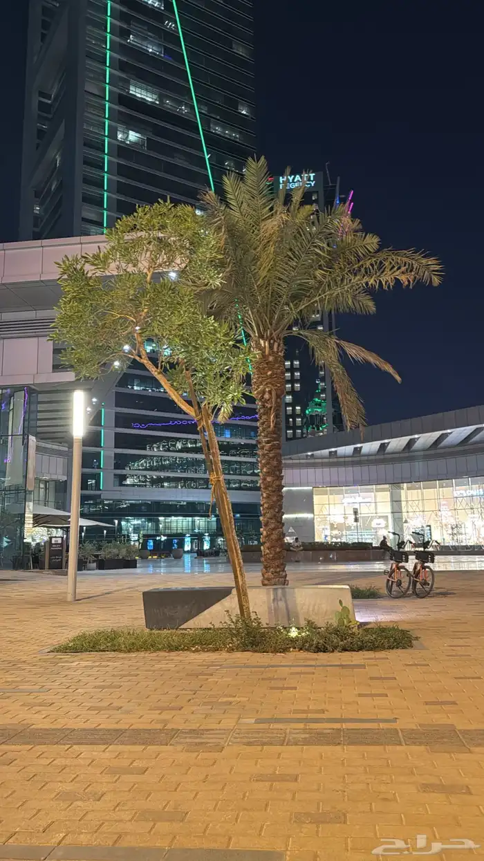 مشاركه سكن 0