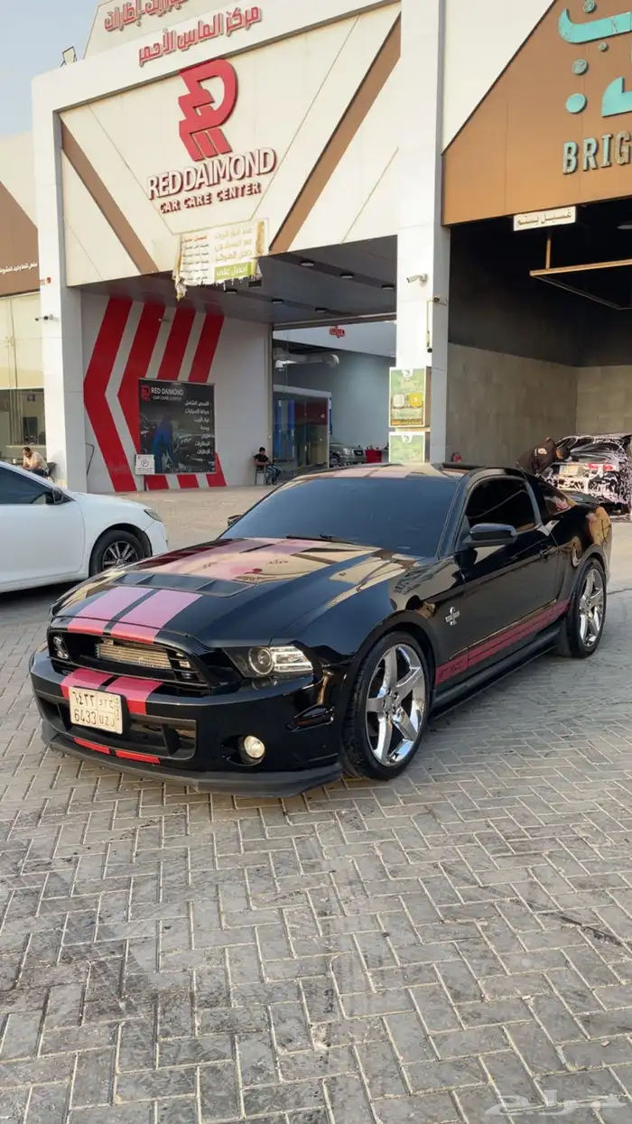 موستنق 2010 8V كت شلبي تماتيك 10