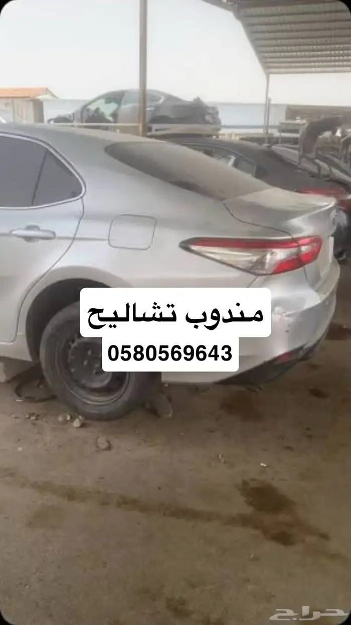 مندوب تشاليح 0