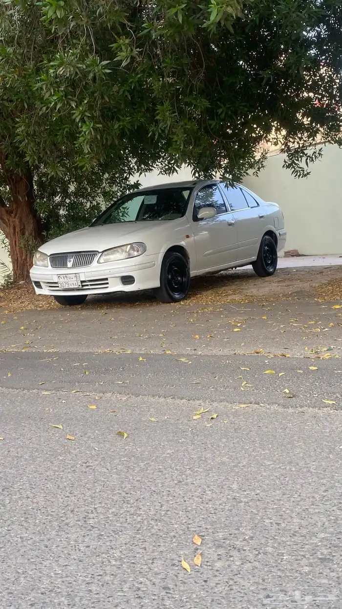 صني2003 5