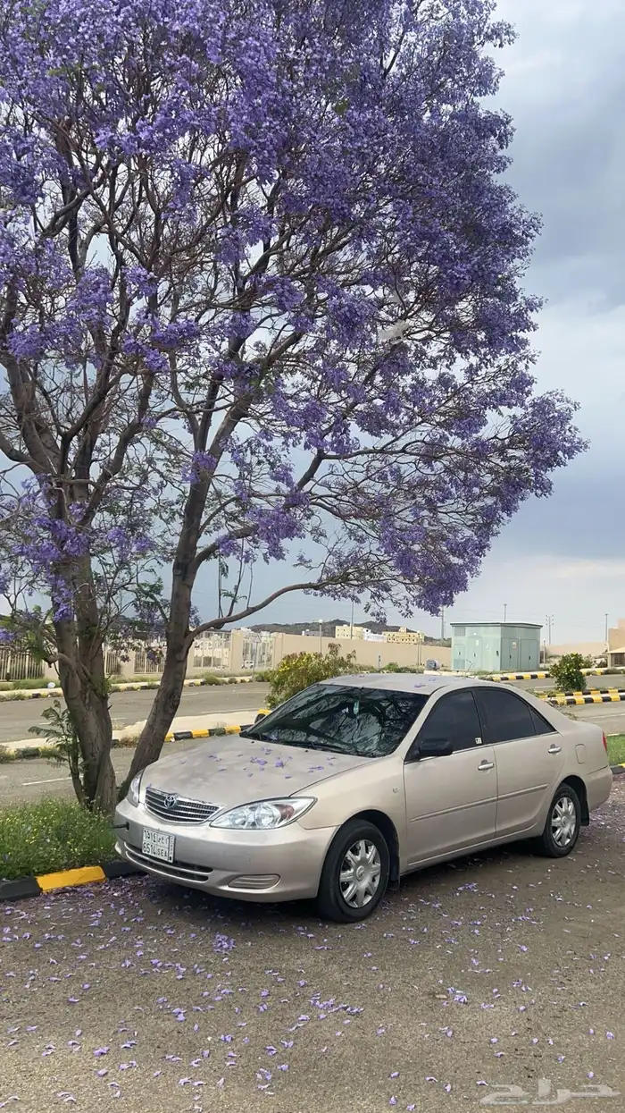 كامري 2003 0
