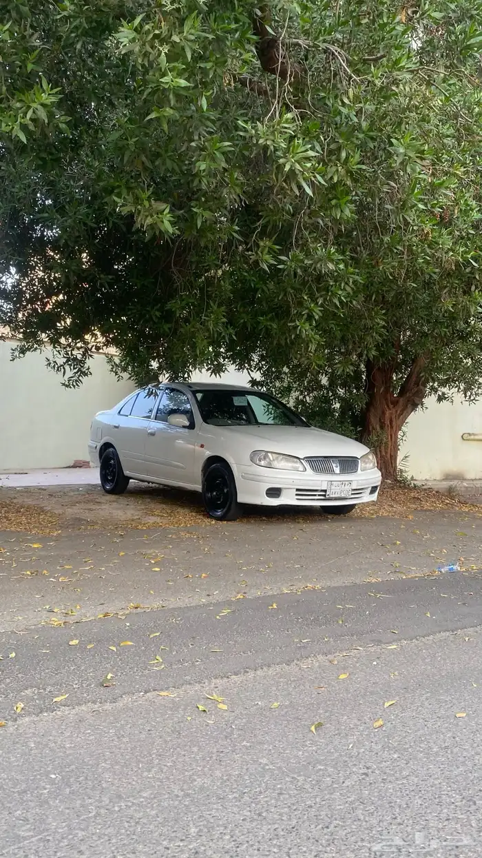 صني2003 6