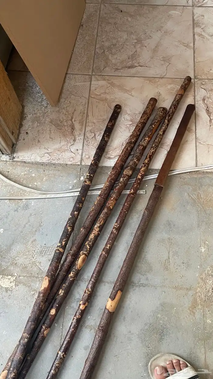 عصي مزمار 3