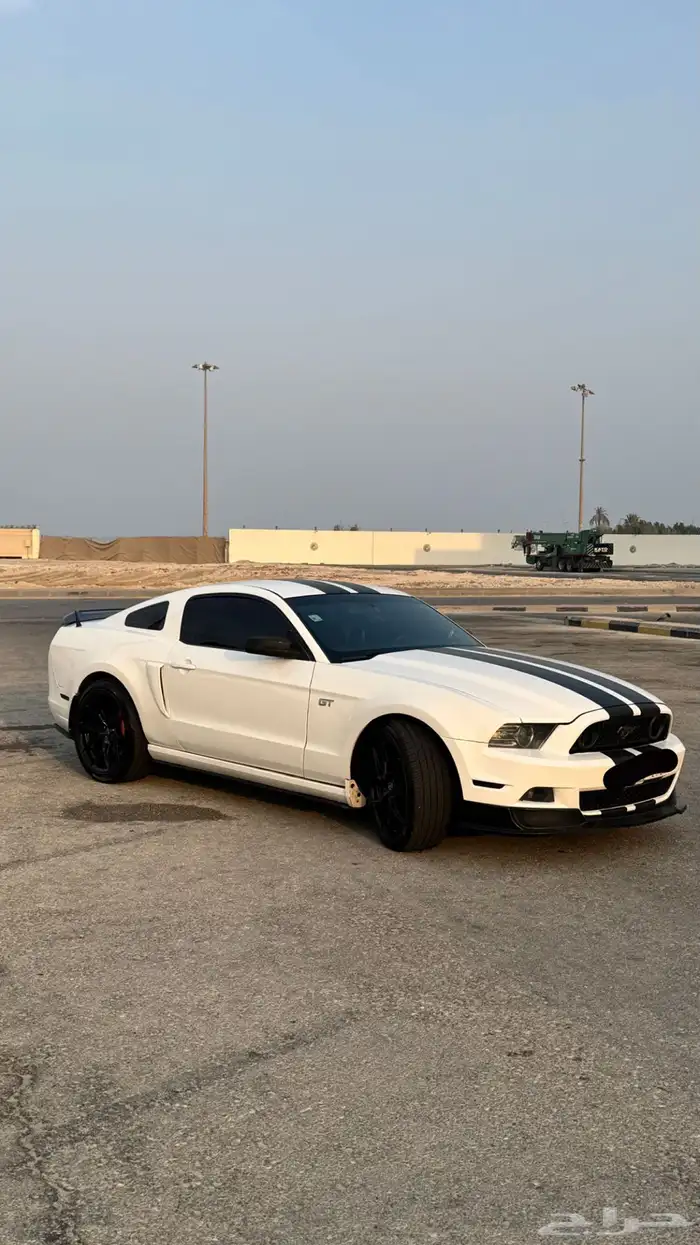 موستنق 5
