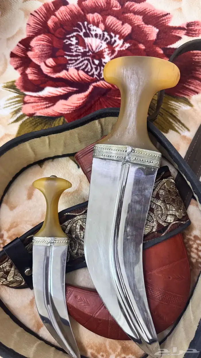 جنبية حك زراف كفو للبيع عليها سوم 700 و البيع قريب 2