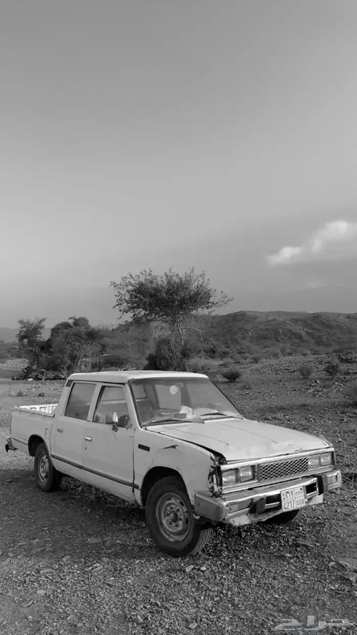 ددسن 1985 0