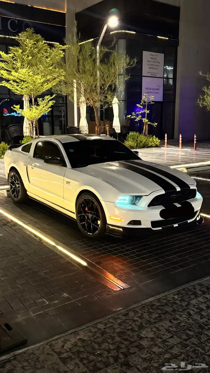 موستنق 6