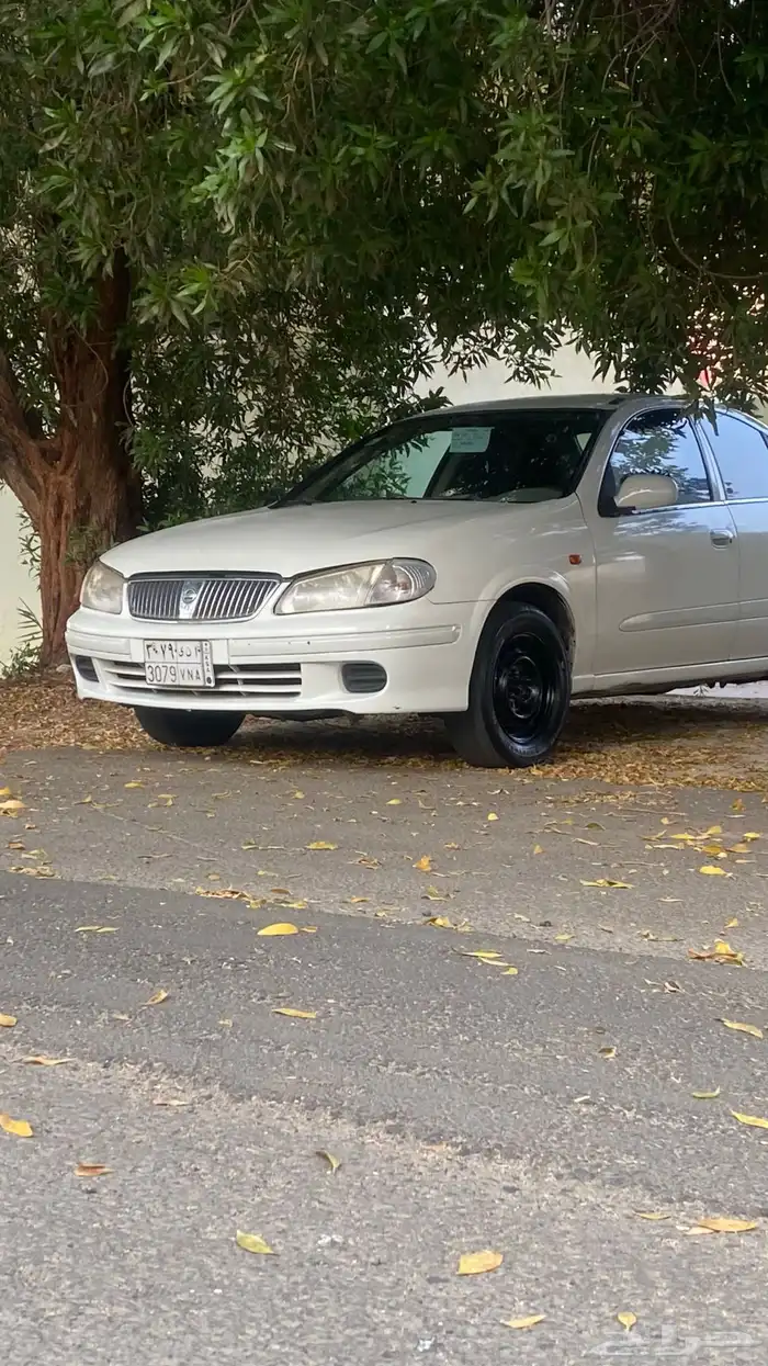 صني2003 4