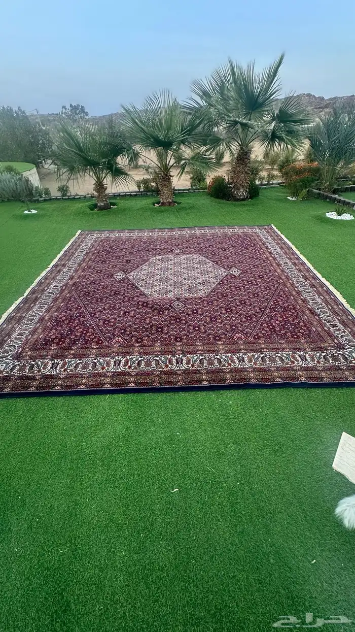 قطعه زل بلجيكي 4 في 4 على السوم تم البيع 0