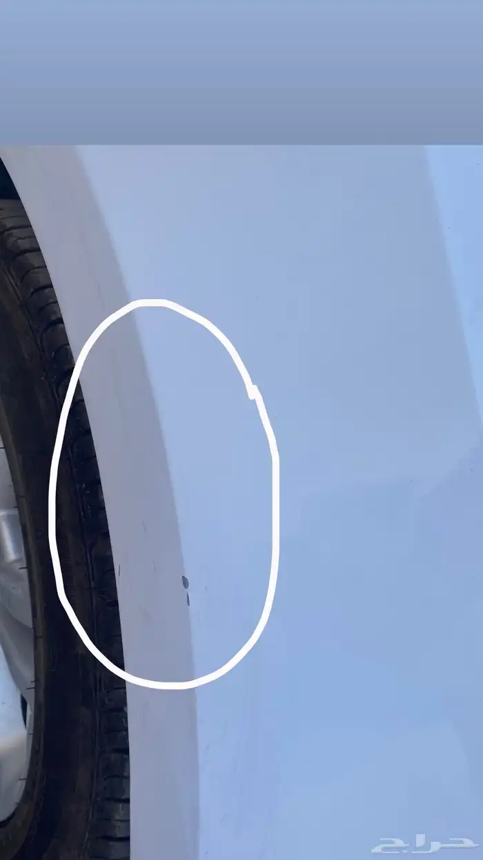 تورس 2019 4