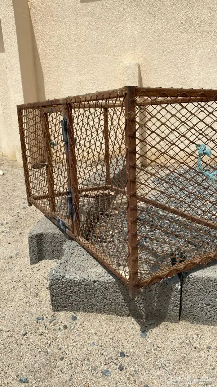 شبك دجاج للبيع السوم70 الموقع بيشه 5