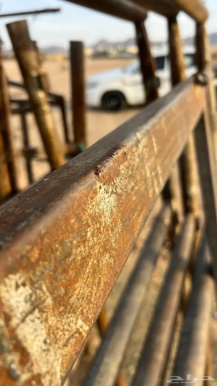 شبك بيدوك 1