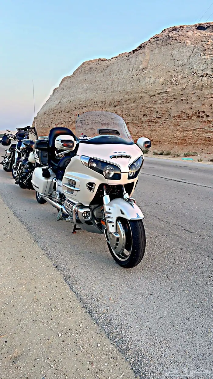 قولد 2008 لفل3 1