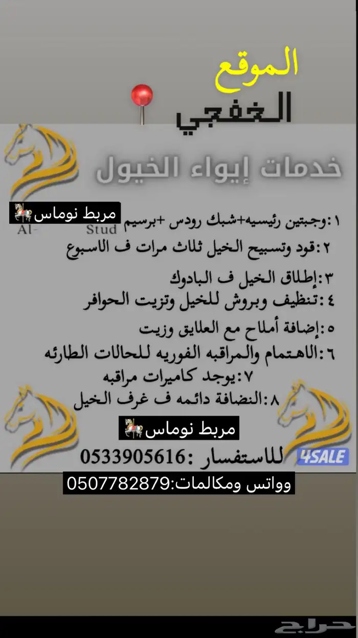 إيوا خيل مربط نوماس 0
