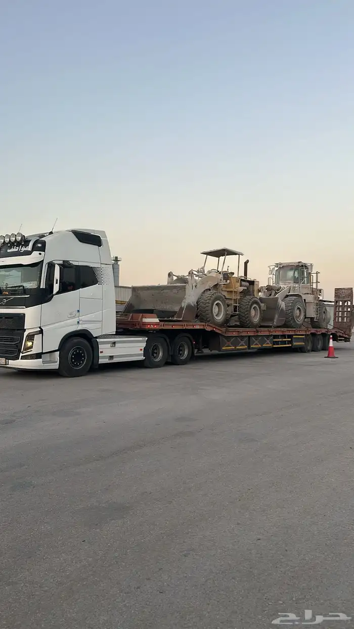 لوبد فئ القصيم 0