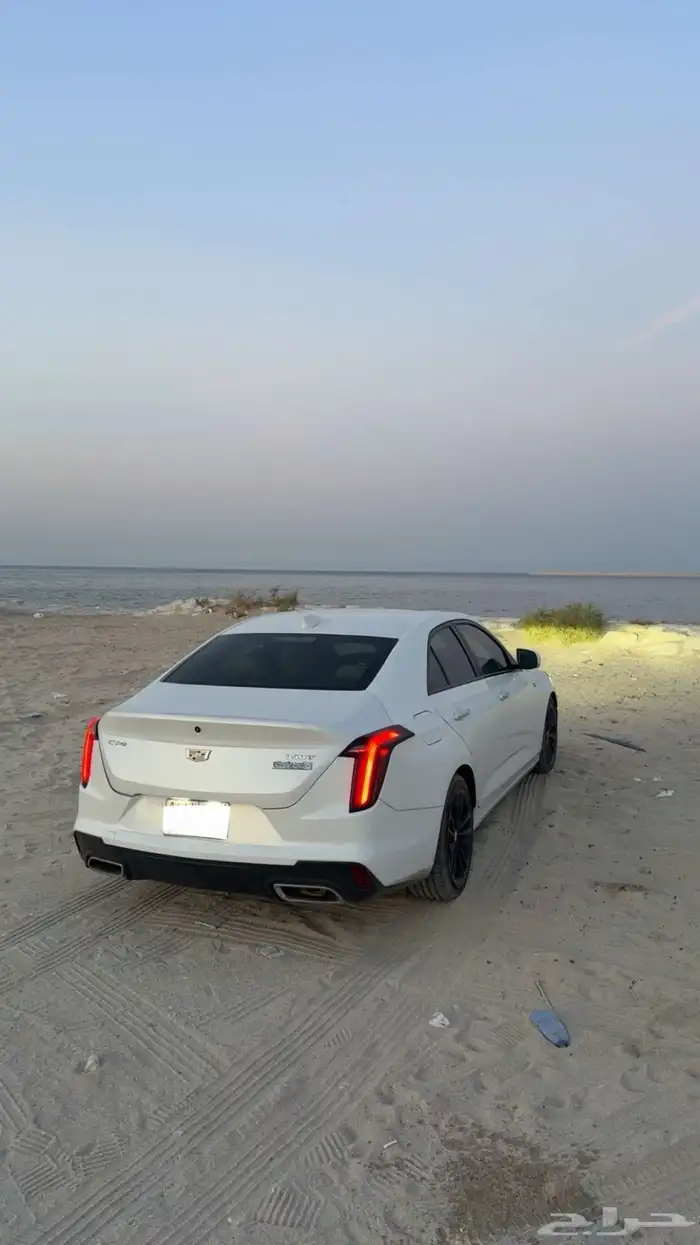كدلك CT4 2021 مصدوم للبيع 2