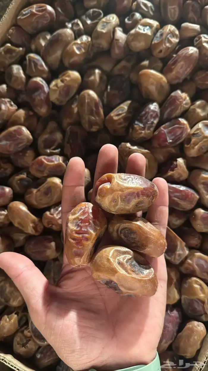 تمر فنخاء كراتين موز عدد 33 0