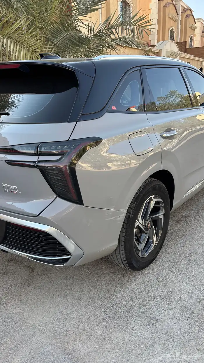 فاو هونشي HS3 2024 للبيع 10