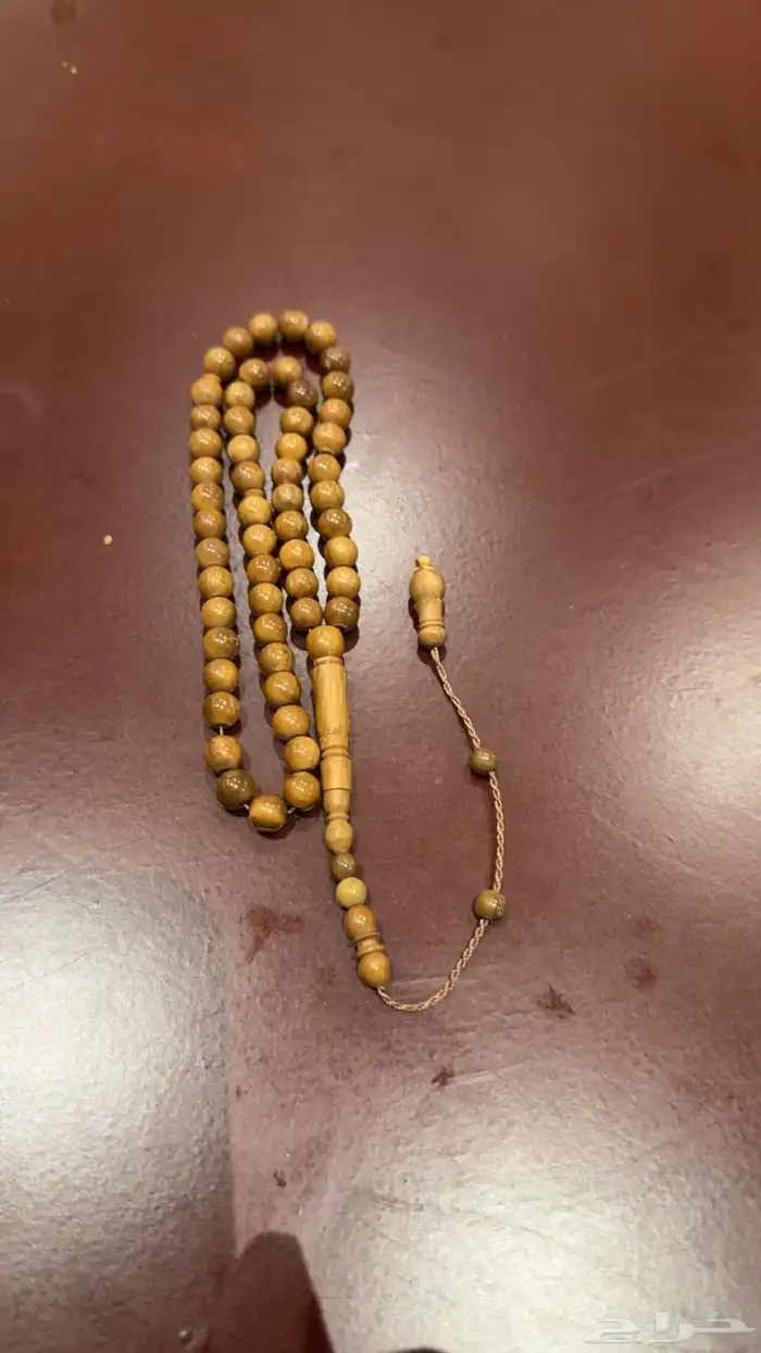 سبح فاتوران وبكلايت الموقع وادي الدواسر 9