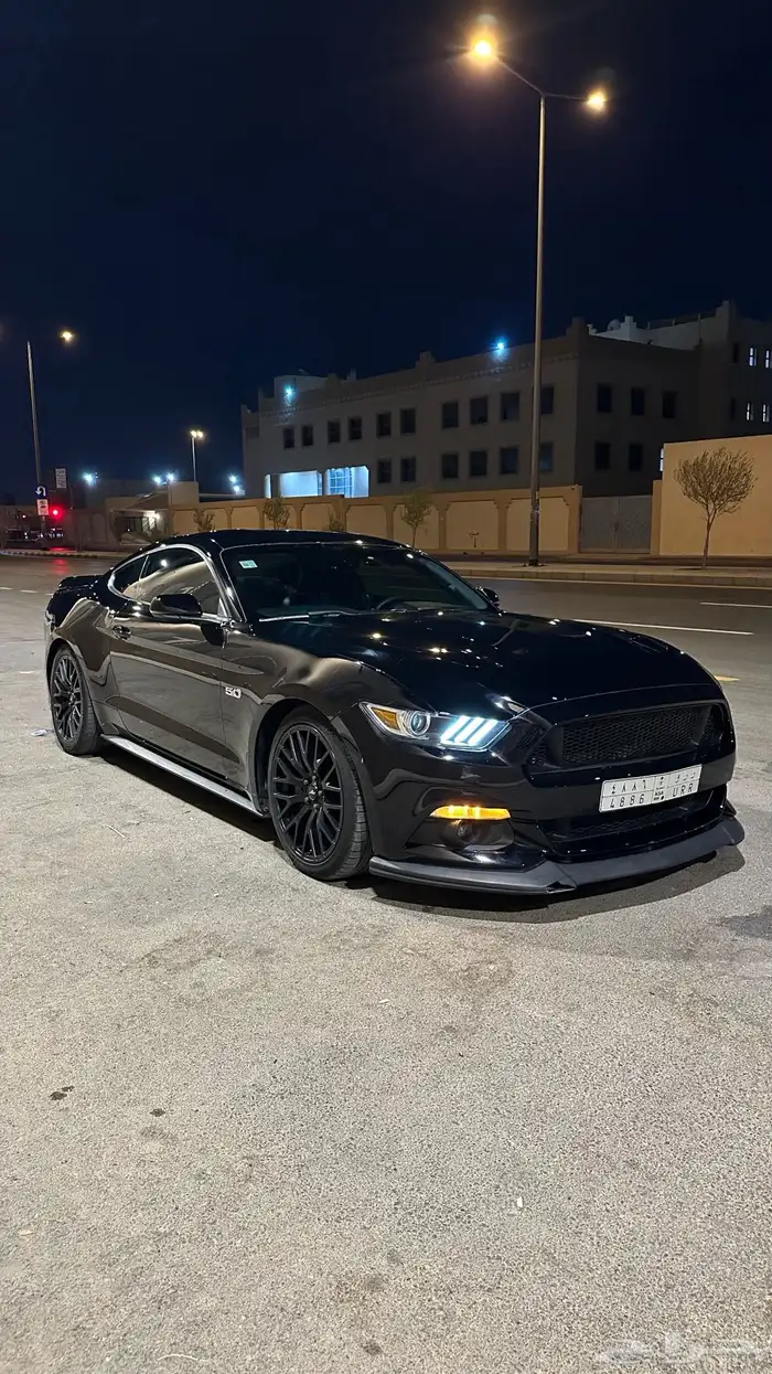 موستنج 2017 1