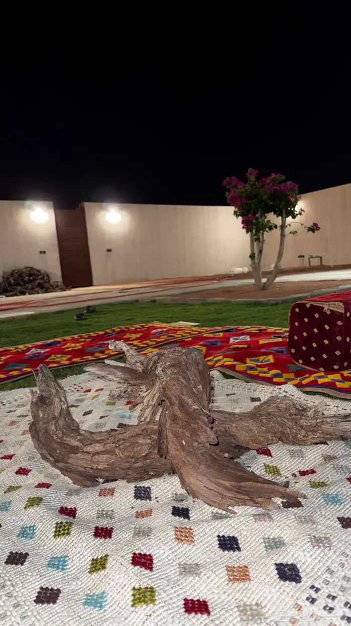 حطب ارطا 3