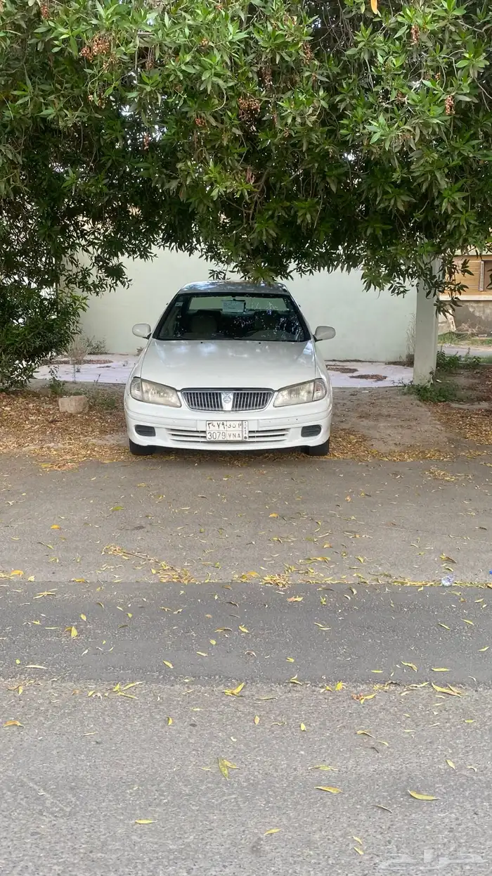 صني2003 7