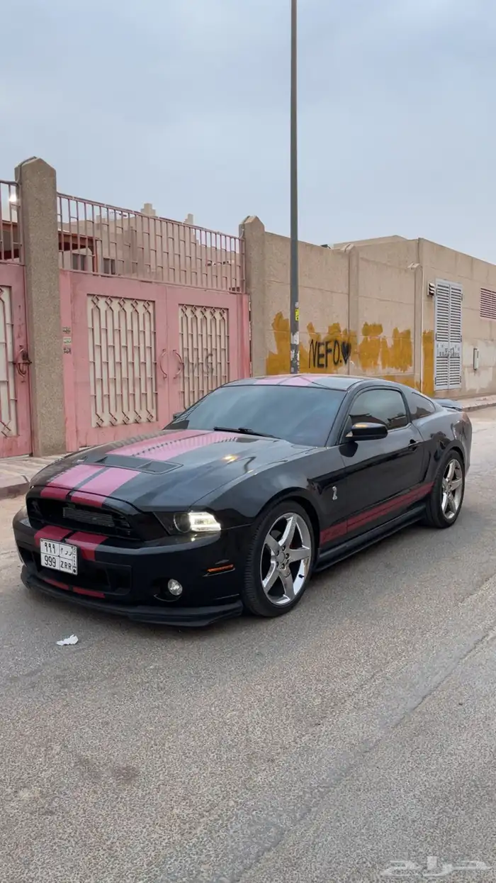 موستنق 2010 8V كت شلبي تماتيك 16