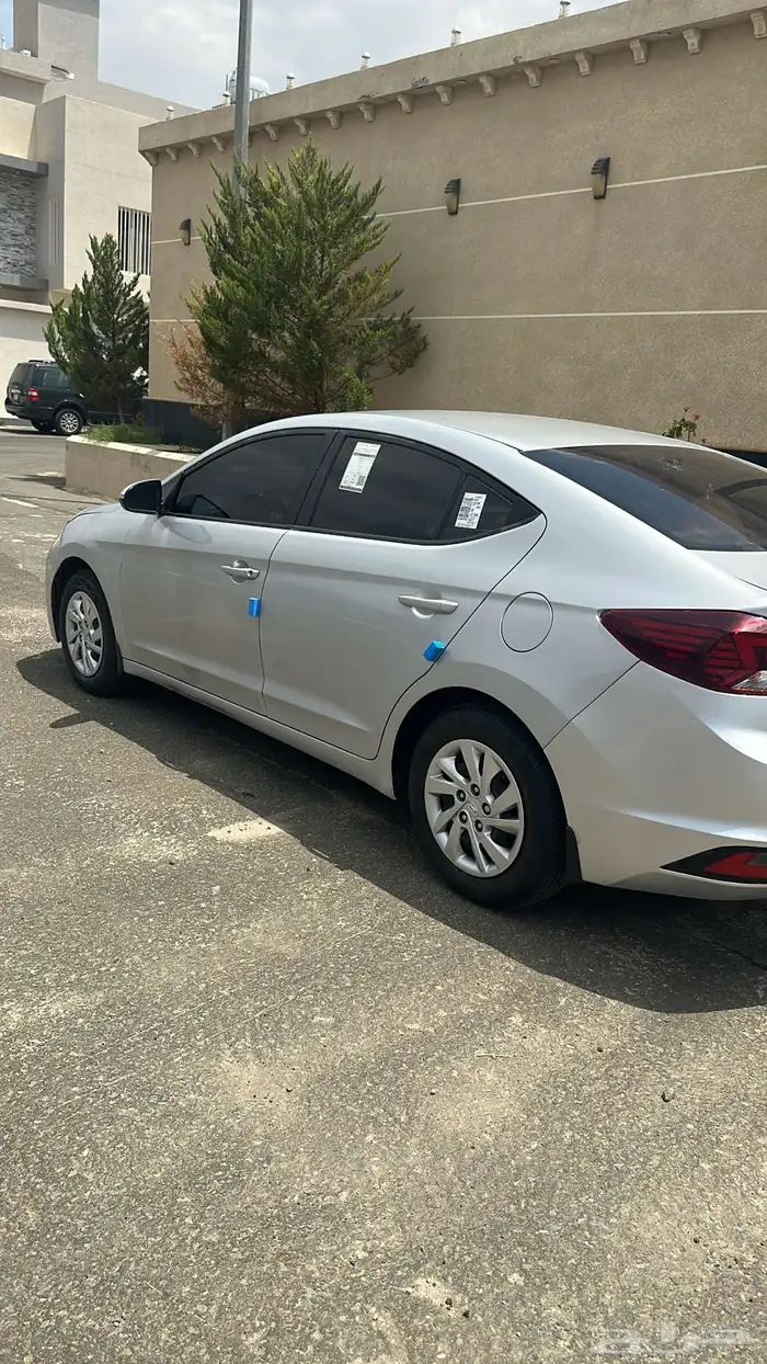 النترا 2019 6