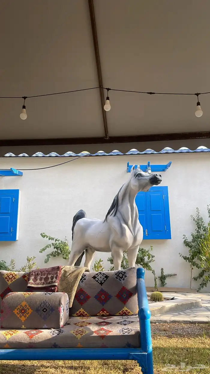 خيل 0