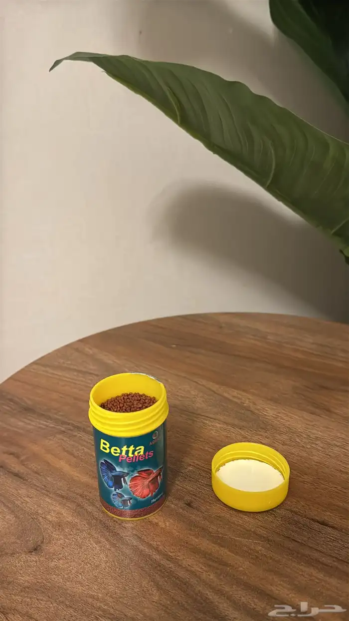 حوض سمك و مستلزمات سمك مستعمله 2