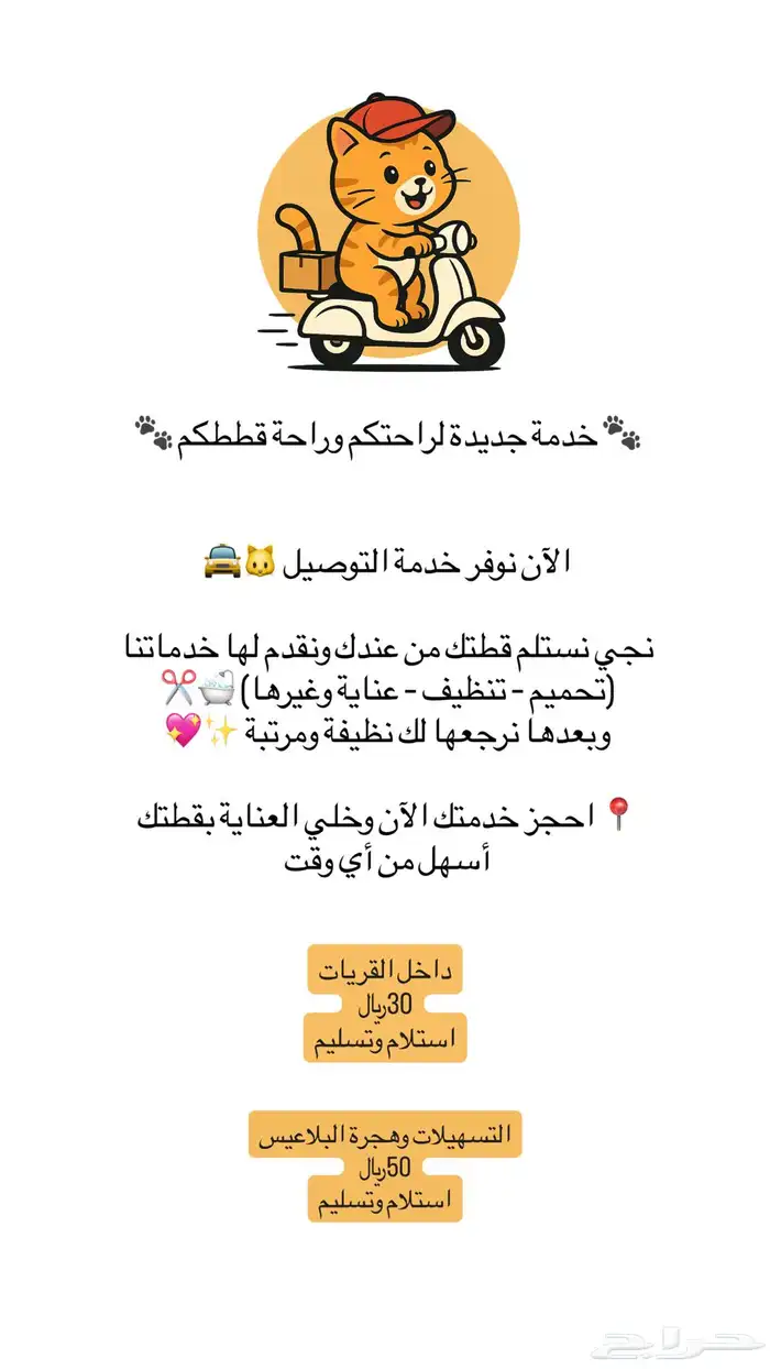 خدمات قطط وفندقة 2