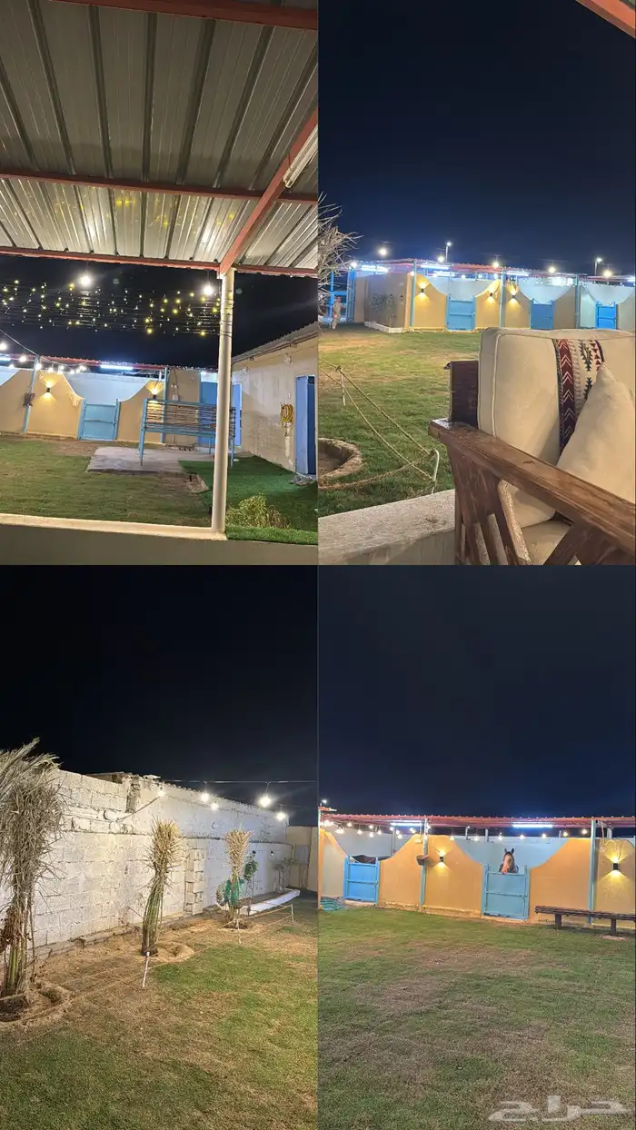 إيوا خيل مربط نوماس 2