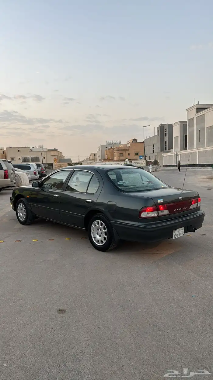 مكسيما 1998 7
