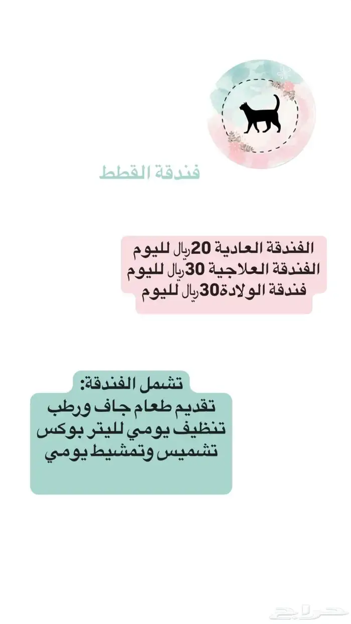 خدمات قطط وفندقة 0