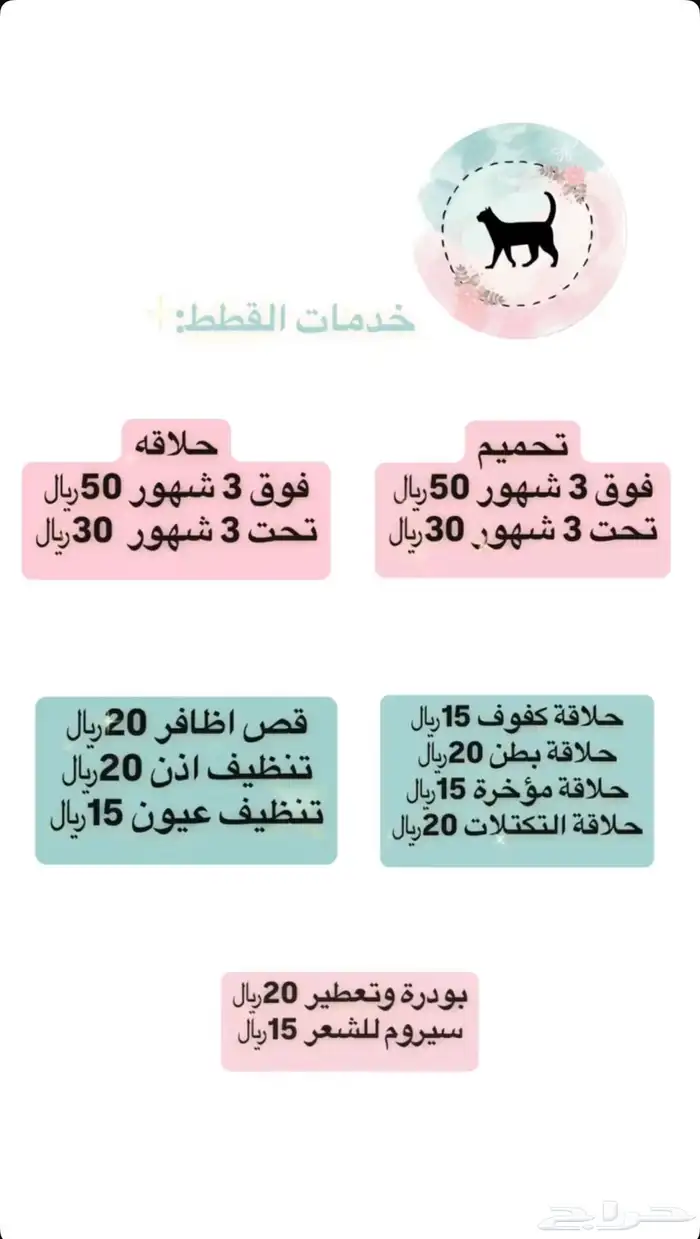 خدمات قطط وفندقة 1