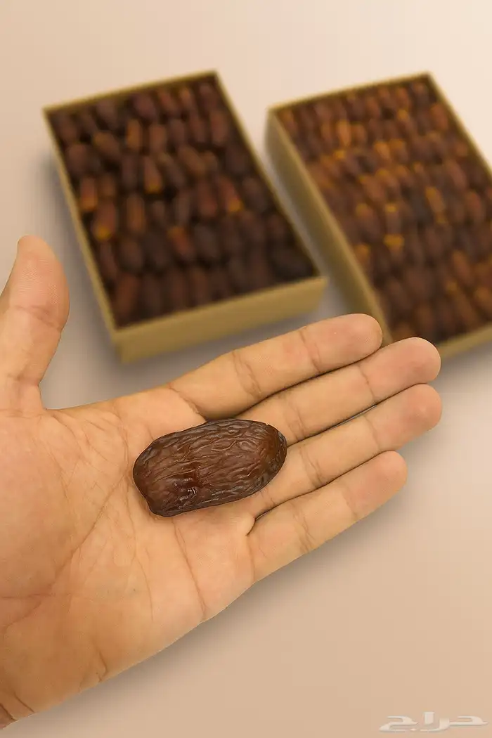 تمر مجدول جديد 0