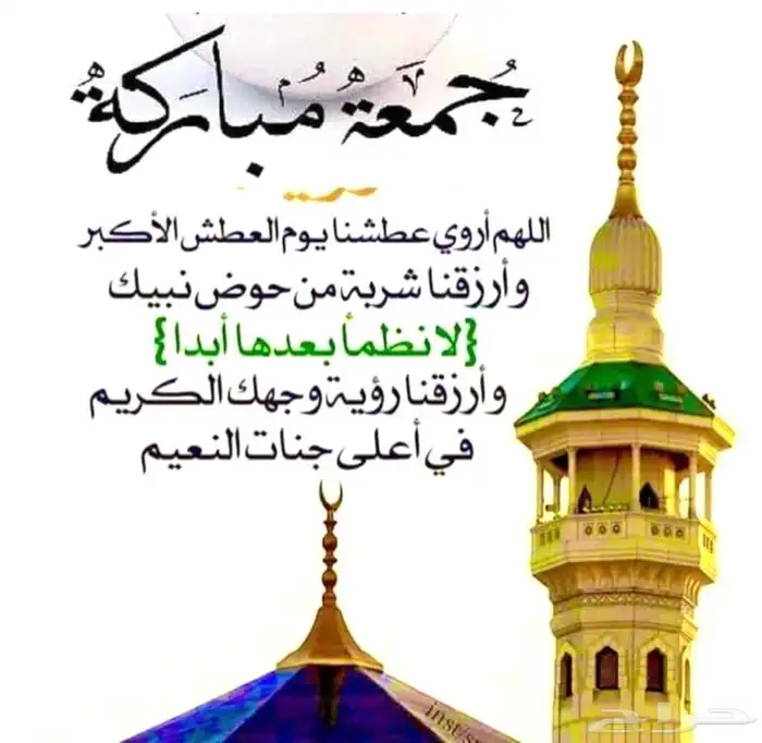 هيونداي فوليستر 0