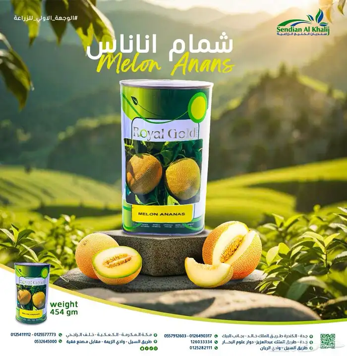 مصمم جرافيك 19