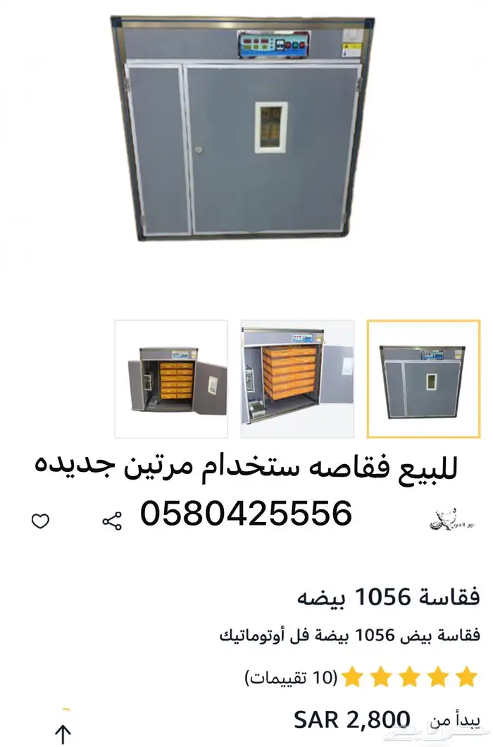 فقاصة عون المربي 0