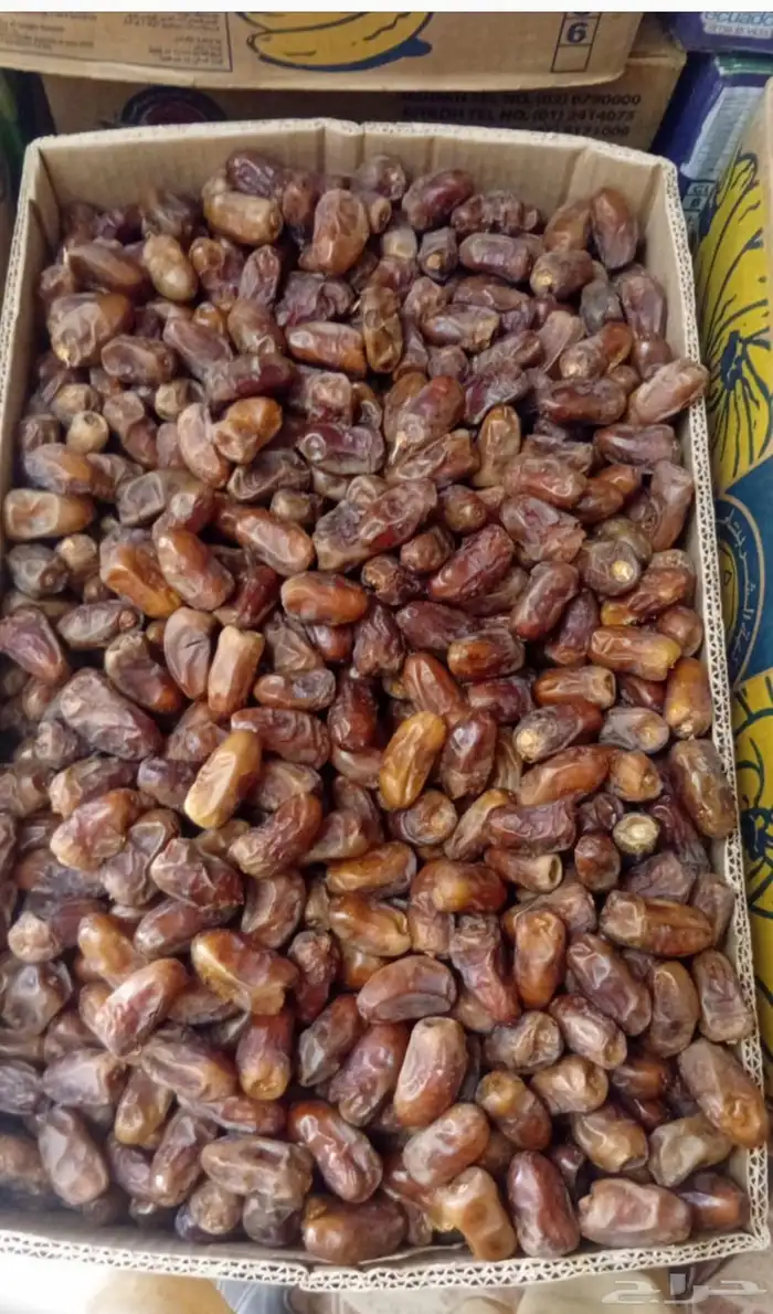 برني العيص انتاج هذه السنة 25 كرتون 1