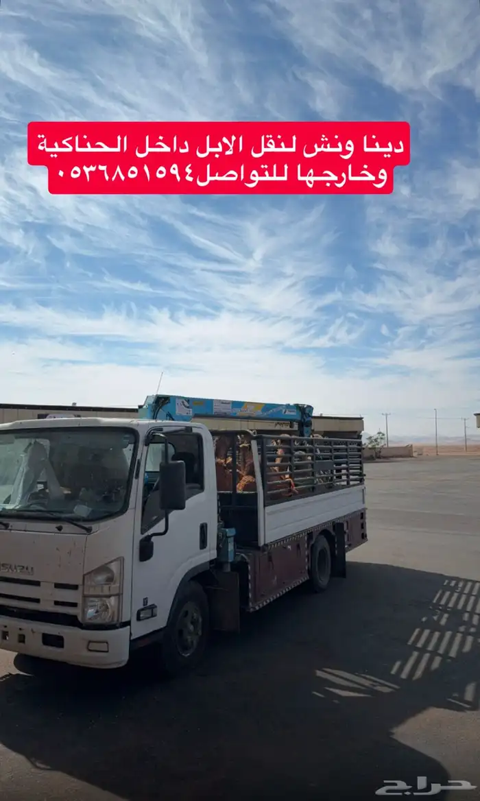 دينا ونش الحناكية 0