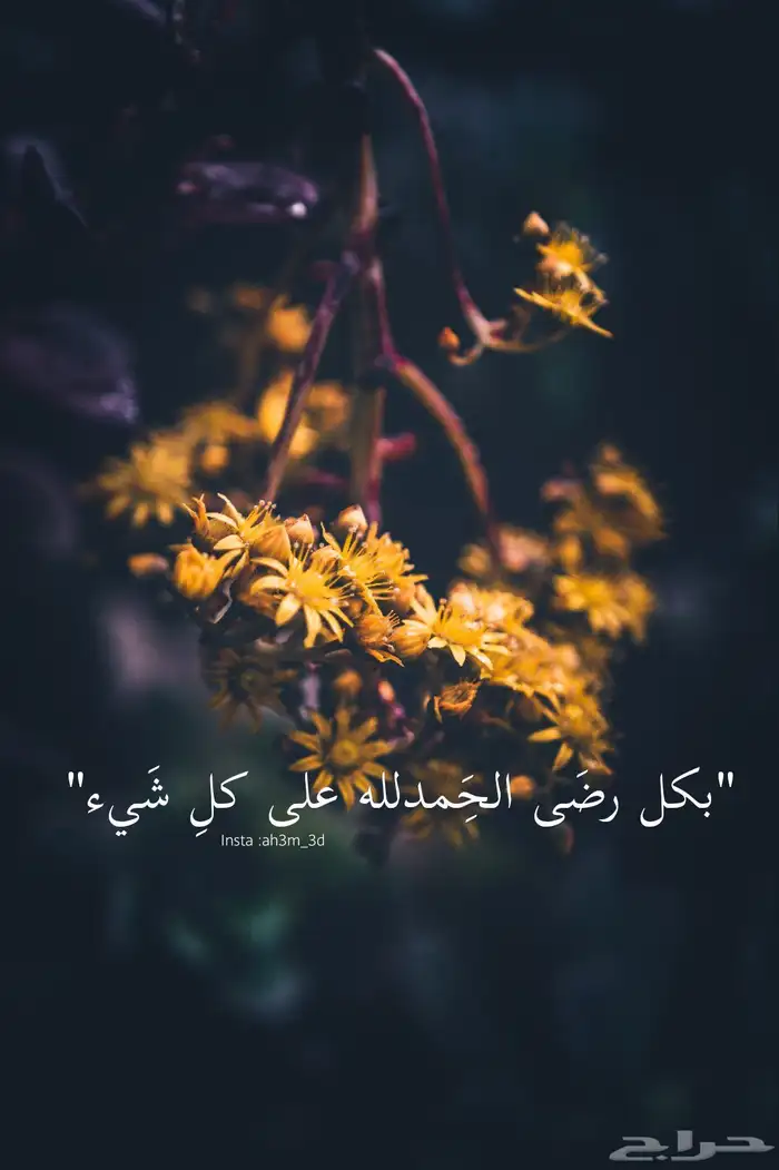 جنوط همر H3 3