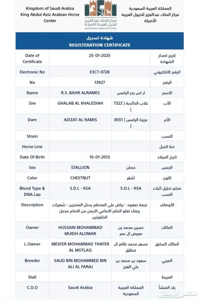 حصان واهو 8