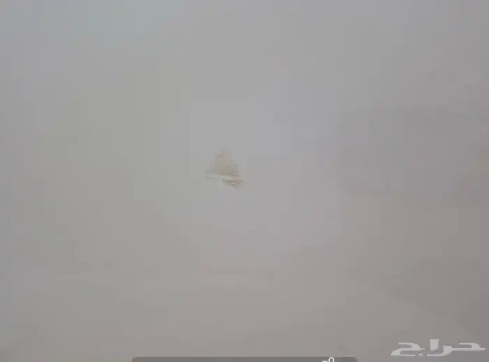 باترول نصف فل 29