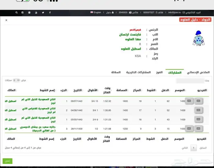 فرس انجليزية مسجله للبيع سعر مناسب جدا 3