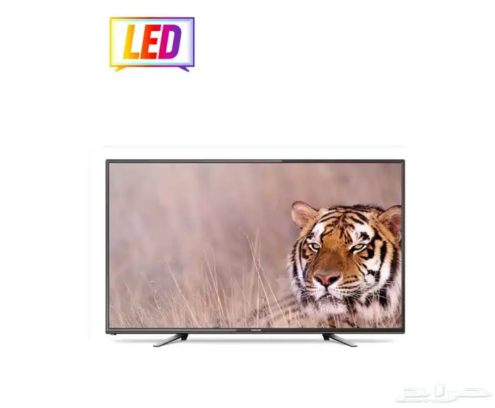 تلفزيون نيكاي 2