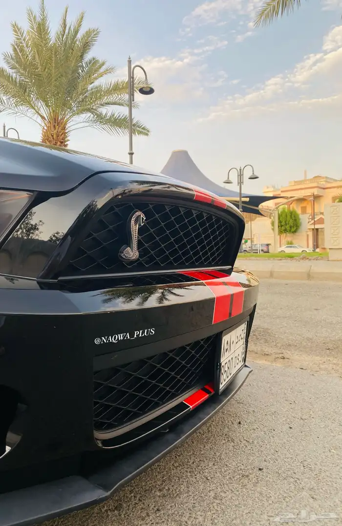 MUSTANG GT500 SHELBYقير عادي 16
