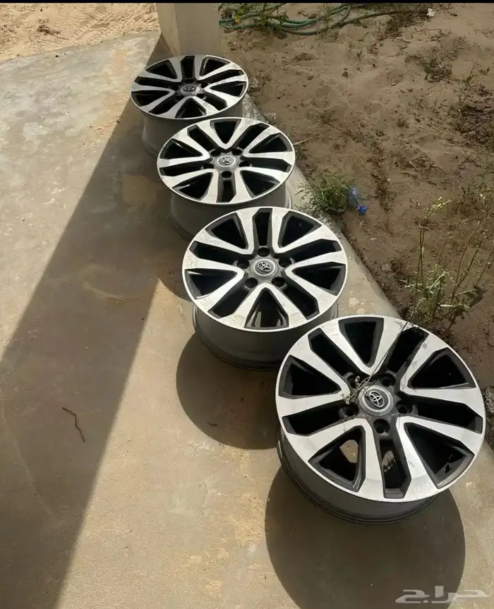 جنوط فكسار صيني 0